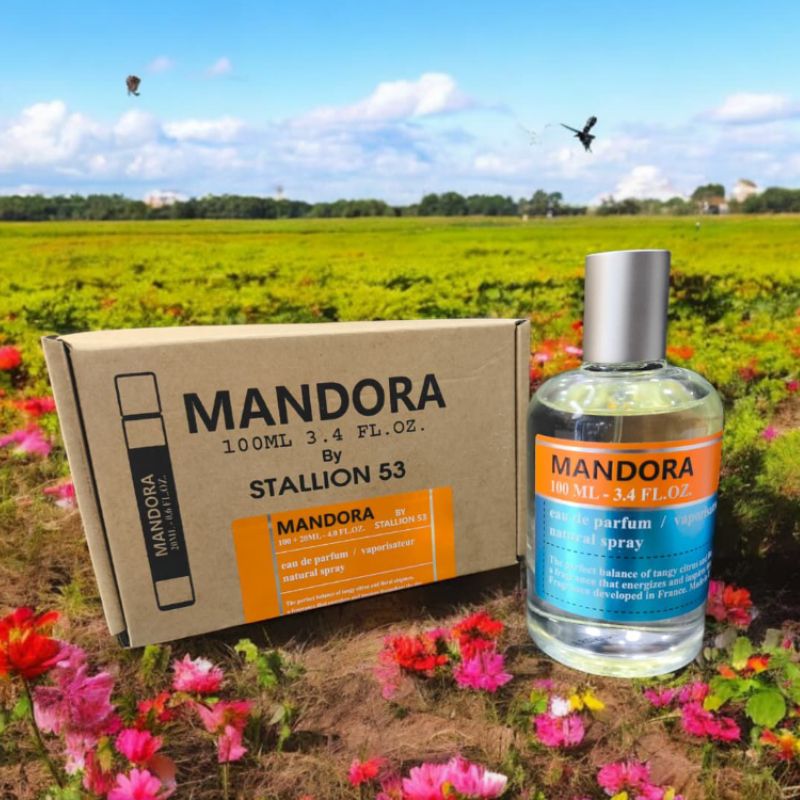 Emper Stallion Mandora